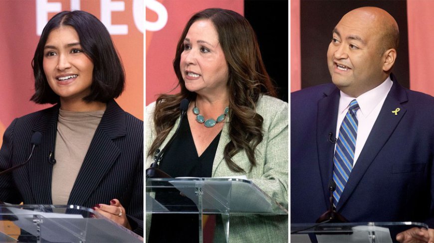 5 things to know about the Arizona special primary to succeed Grijalva