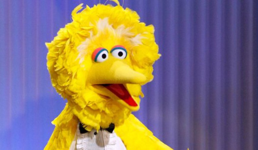 Big Bird Deserves to Lose This Time