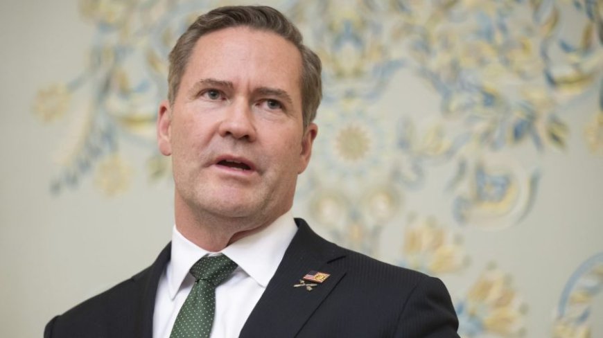 Watch live: Waltz, Trump's pick for UN ambassador, faces Senate confirmation hearing