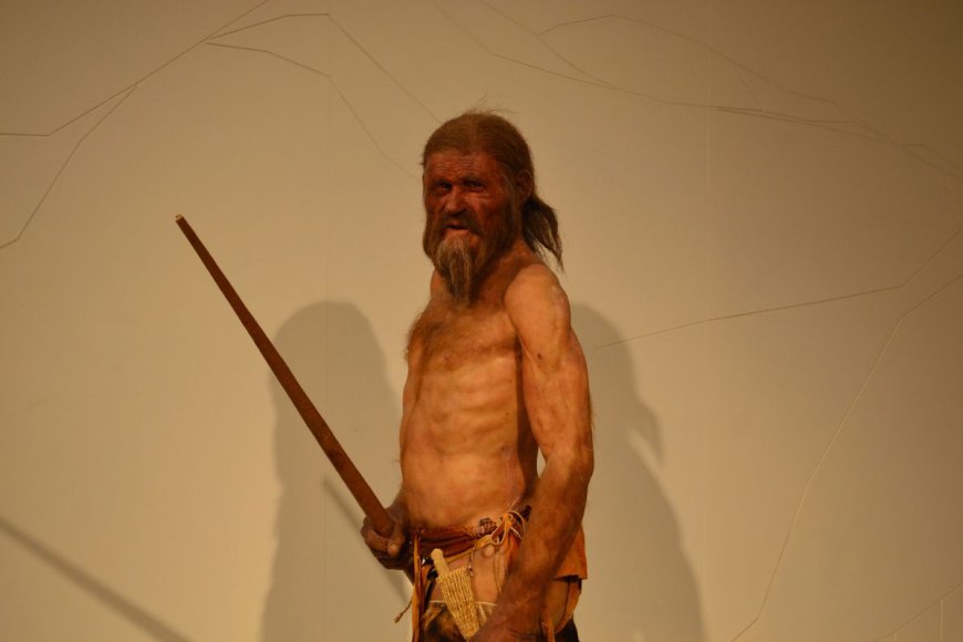 Ötzi The Iceman's Ribcage Wasn’t Like Ours, But It May Have Helped Him Survive