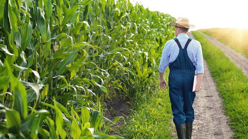'Better access': Bipartisan Senate push to fund farmers suicide prevention fund gains steam