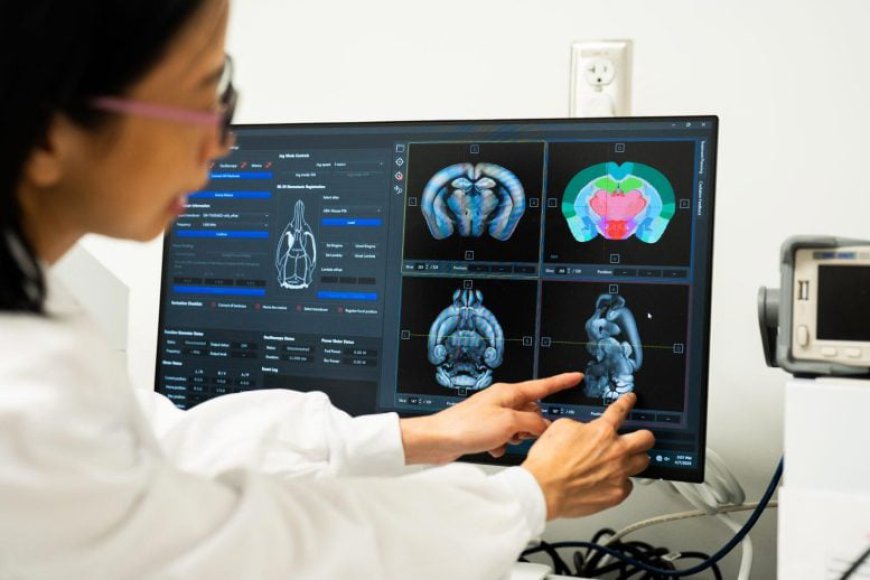 Brain Gains: Creatine’s Surprising Cognitive Benefits
