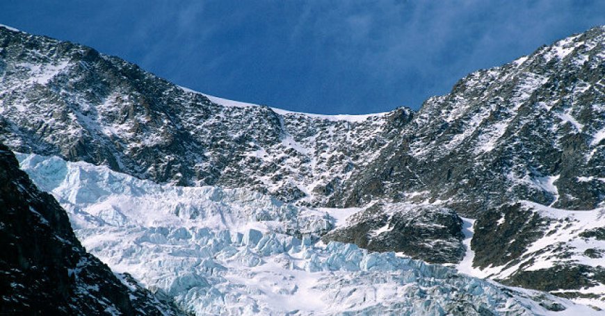 'Four-Legged Hero': Chihuahua Shows Rescuers Where to Find Man Who Fell into Swiss Glacier