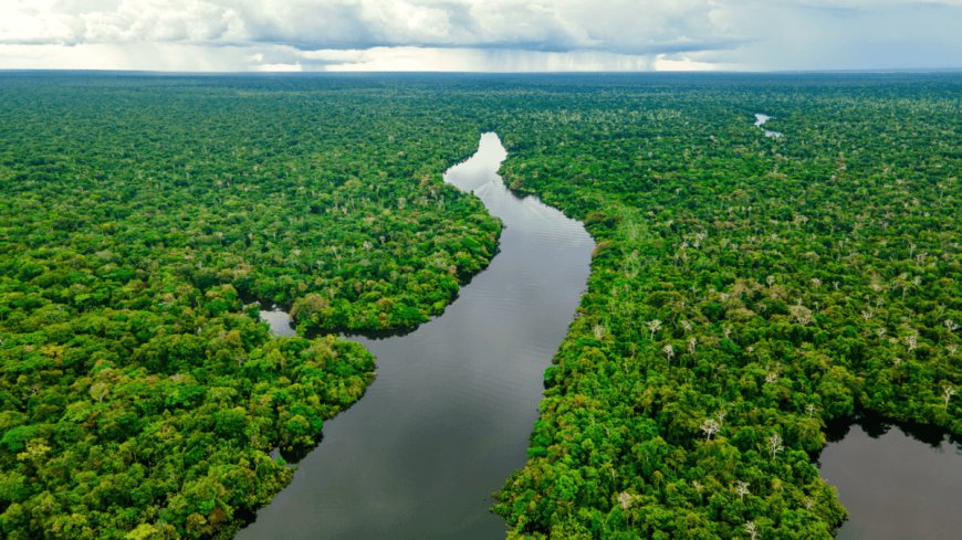 What Are The Amazon’s "Flying Rivers"? And Why Every Single One Of Us Relies On Them