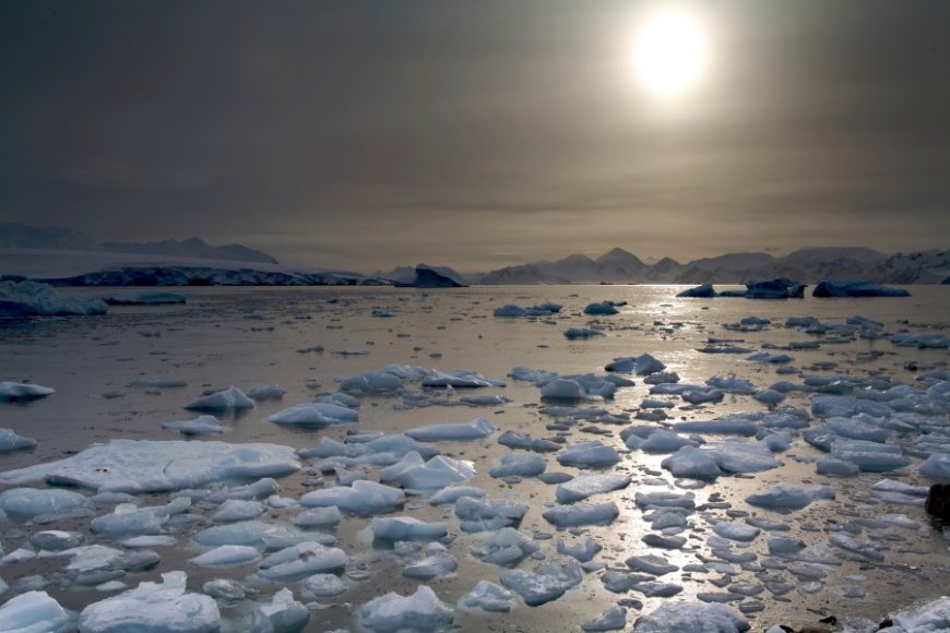 Toxic 'forever chemicals' have infiltrated Antarctic waters: Study