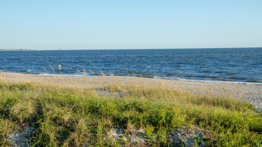 Teen run over by a truck while sunbathing on the beach