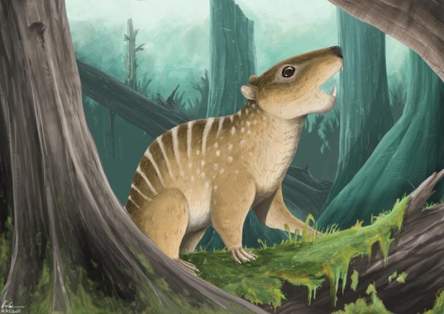 Buried for 145 Million Years – And Found by a Student on the Beach