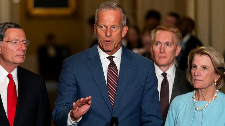 Senate GOP nails down deals on DOGE cuts in bid to avoid tax bill tumult