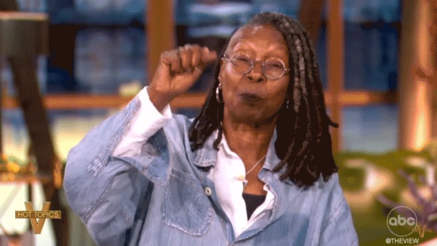 Whoopi Goldberg, 'View' hosts lash out at Obama, Cuban for scolding Democrats