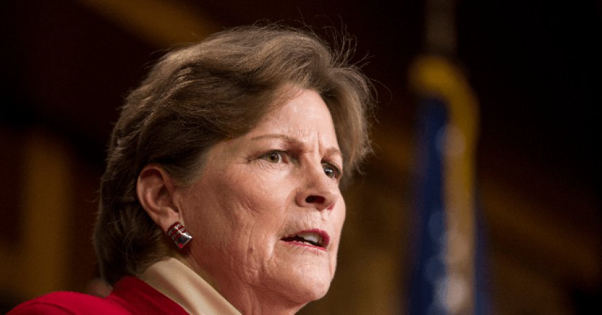 Shaheen: 'Maybe We Should Not' Spend $2.5 Million on EVs in Vietnam
