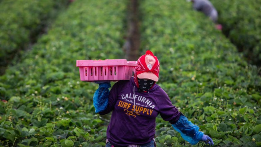 Bipartisan bill would grant legal status to certain illegal immigrant workers