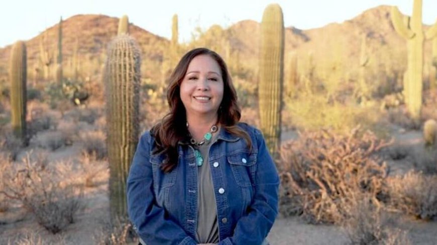 Establishment-backed Democrat wins high-profile congressional primary in Arizona