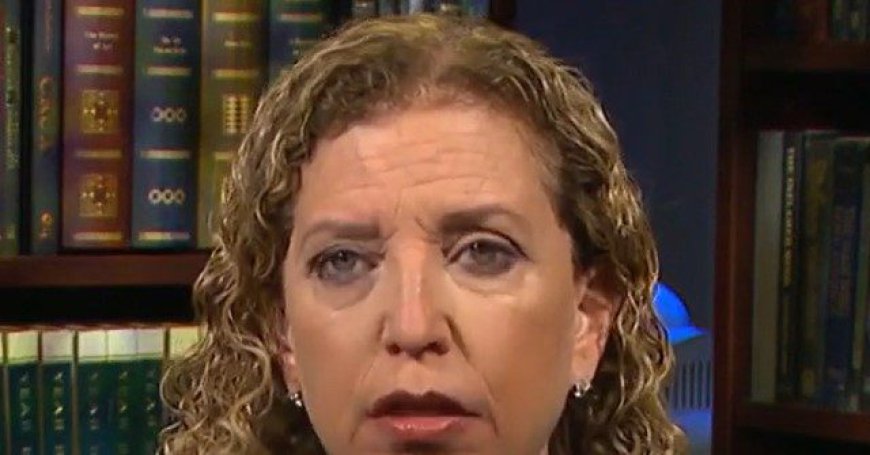Wasserman Schultz: 'Inhumane' Alligator Alcatraz Needs to Be 'Shut the Hell Down'