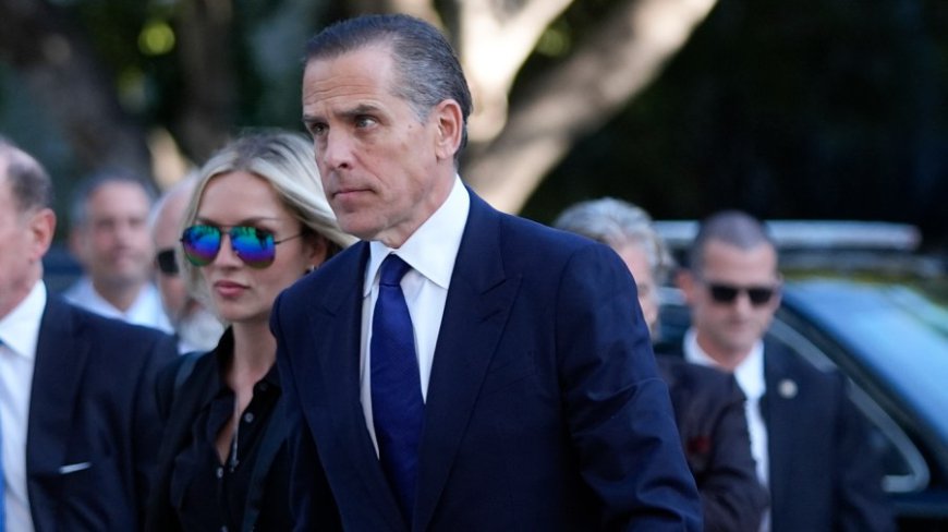 Hunter Biden says Democrats lost election because they weren't loyal to his father
