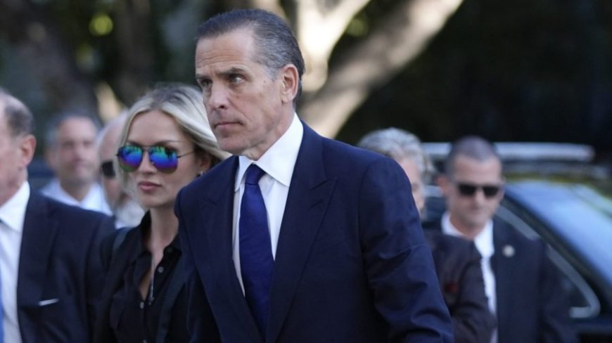 Hunter Biden hits back at Jake Tapper over 'chief of staff' allegations