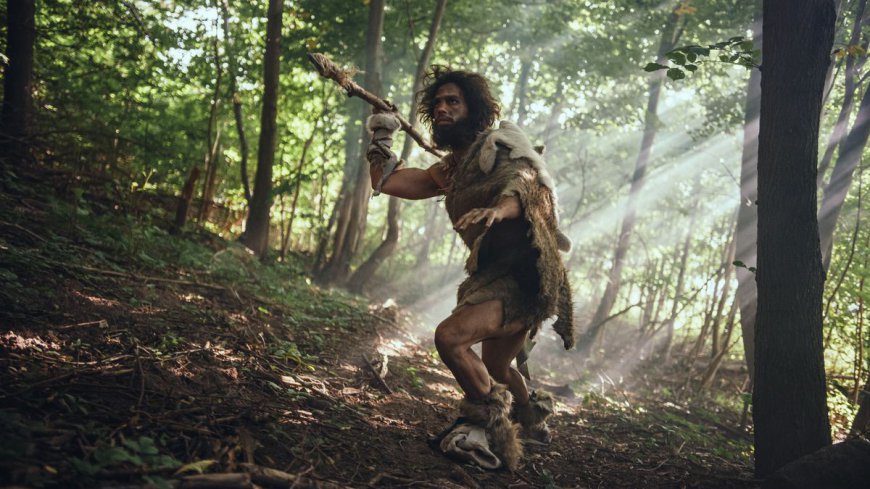 Europe’s Oldest Bone-Tipped Hunting Weapon Was Likely Made By Neanderthals