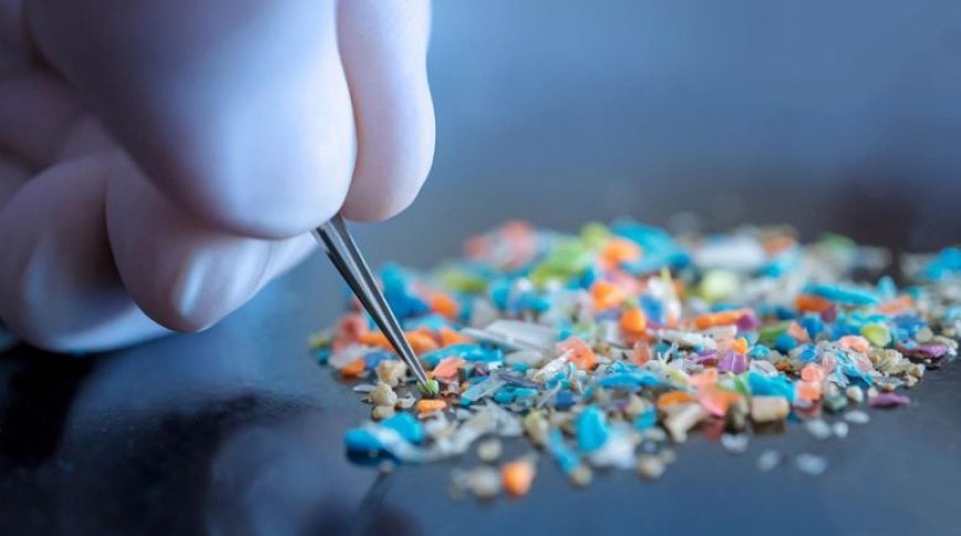 Scientists Create New Supermaterial That Could Replace Plastic