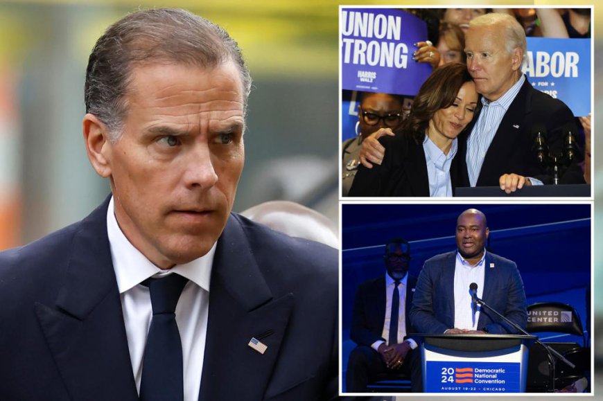 Hunter Biden goes scorched earth on Democrats, gives blunt reason why party lost big in 2024…