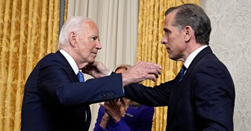Despairing Hunter Biden Says Democrats Lost Election Due to Disloyalty to His Father