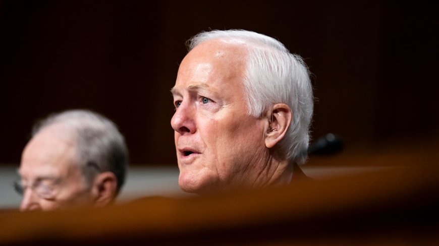 Cornyn says Trump 'not ready' to endorse despite appeals