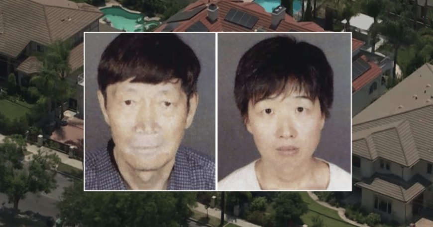 Women say they were tricked into surrogacy for California couple after 21 children removed from home