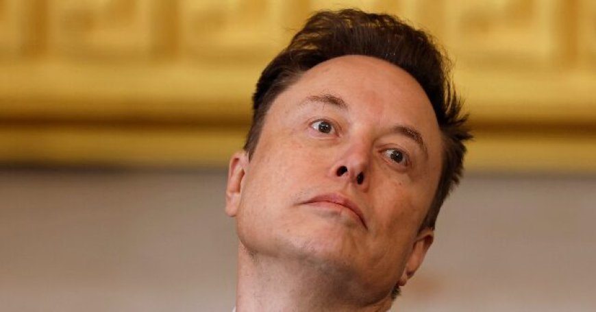 Tesla's North American Sales Chief Departs as EV Sales Slump Continues