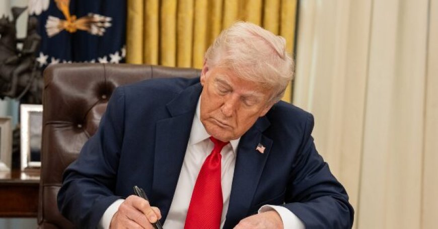Watch Live: Donald Trump Signs HALT Fentanyl Act into Law