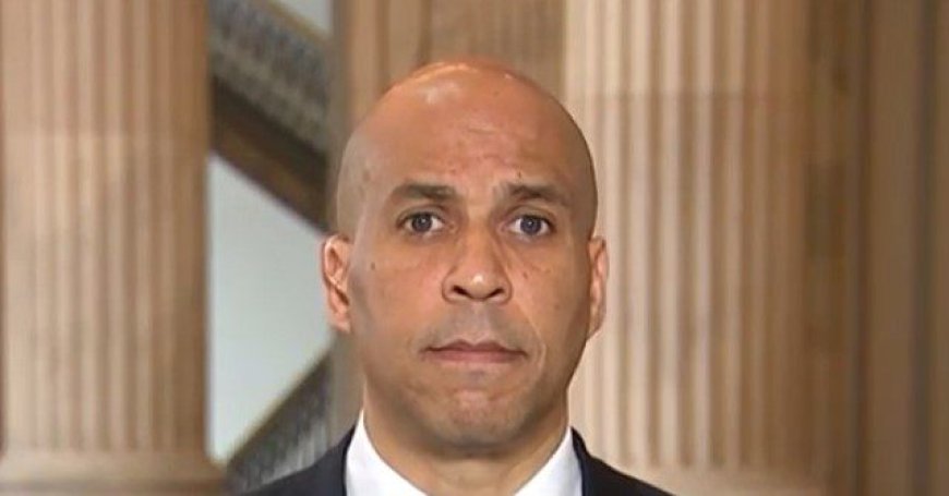 Booker: Trump's Mass Deportation a 'Violation of the Values of Our Nation'