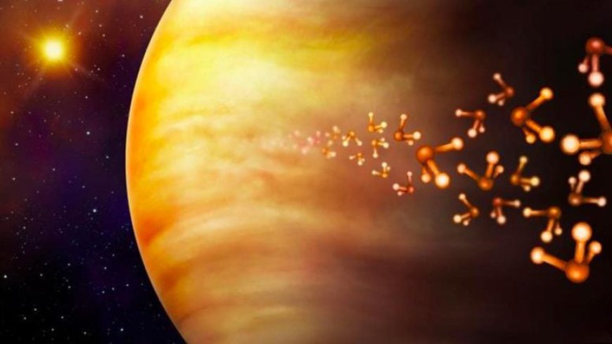 Unexplained Gases on Venus: Could They Be the Sign of Alien Life?