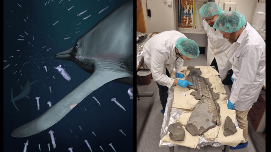First-Ever Giant Ichthyosaur Soft Tissues Preserved In “Extraordinary Fossil” Dating Back 183 Million Years