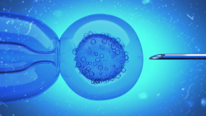 8 Children Have Been Born With 3 Biological Parents Each After Mitochondrial Transfer