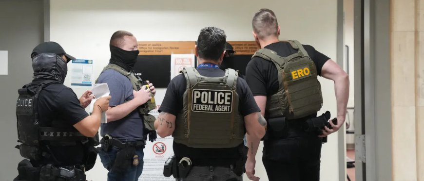Liberal Groups Aim To Make Immigration Courts Safe Haven For Illegals
