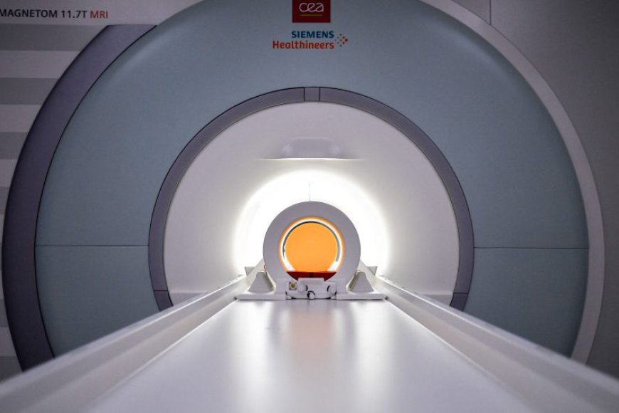 Man wearing metal chain sucked into MRI machine in New York: Police