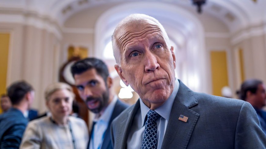 GOP senator demands Trump ‘release the damn files’ on Epstein