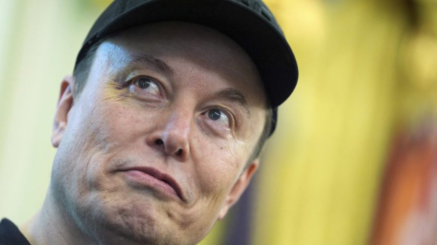Musk favorability drops to 23 percent: Survey