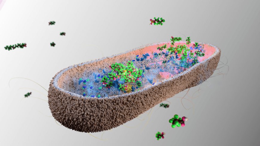 Some Human Gut Bacteria Can Absorb Harmful Toxic "Forever Chemicals" So They Can Be Pooped Out