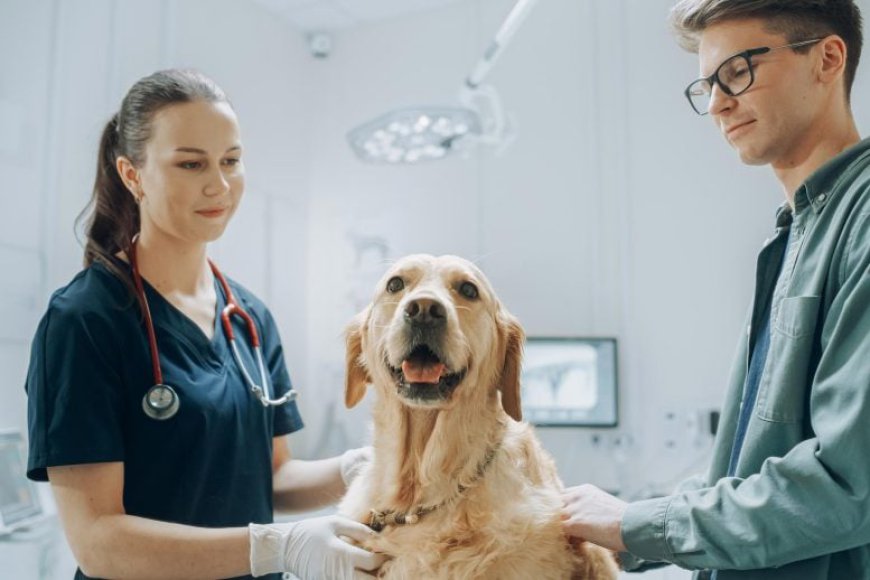 Trained Dogs Detect Parkinson’s With 98% Accuracy
