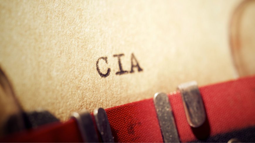 This Question About Epstein and the CIA Deserves an Answer, Mike Benz Explains…