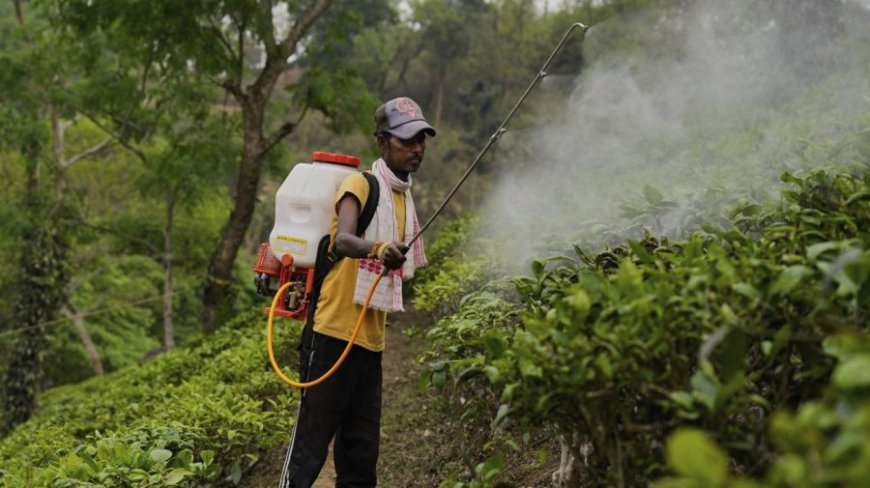 Cory Booker bill would protect Americans' right to sue pesticide makers for poisoning