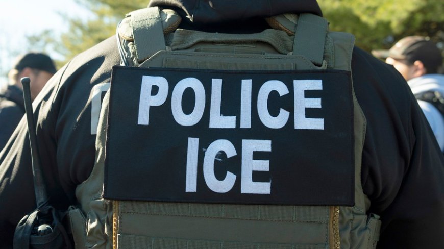Immigration court arrests spark legal challenge