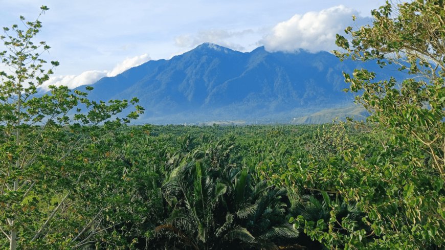 A Shrimp That Lives In A Tree? Indonesia’s Cyclops Mountains Are Home To Some Seriously Strange Wildlife