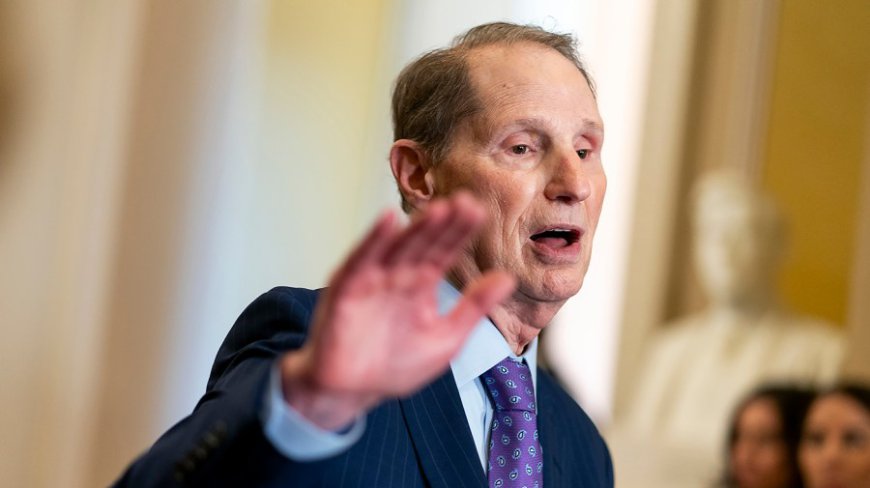 Wyden says Trump admin sitting on Epstein bank records: 'They’re refusing to investigate'