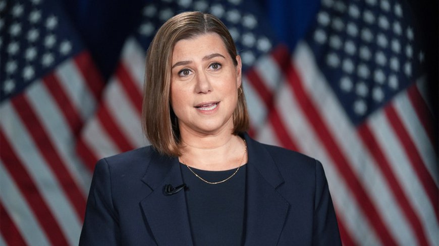 Democratic lawmaker calls out party for being 'scared' to offend immigration groups