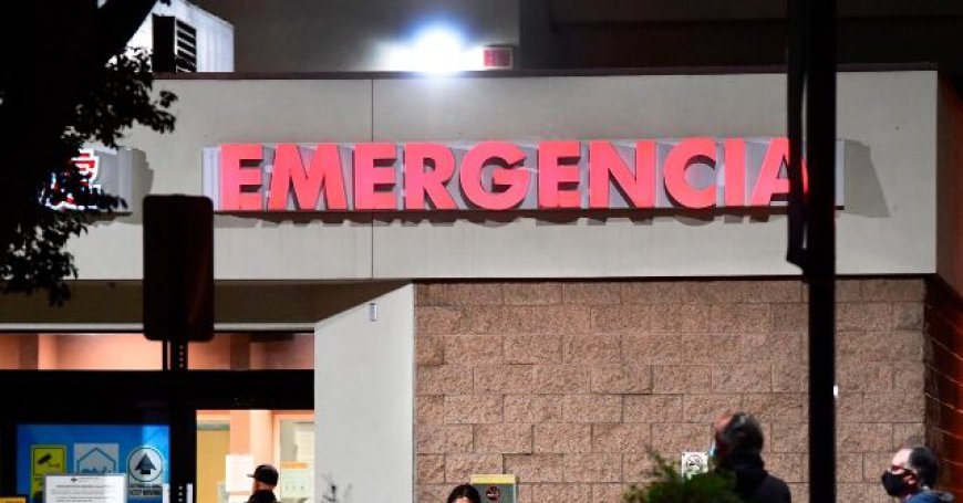 Trump's Deputies Use Medicaid Data to Help ICE Find Migrants