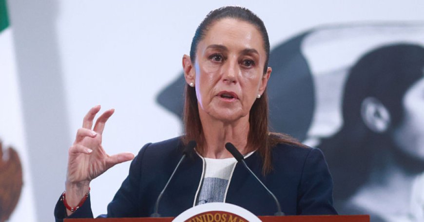 President Claudia Sheinbaum May Sue ICE over Mexican Farmworker Who Died During Immigration Raid
