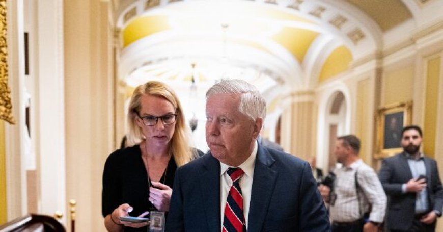 Exclusive -- Lindsey Graham Primary Challenger Andre Bauer: We Have a Chance to Knock Off 'One of the Vipers of the Senate'