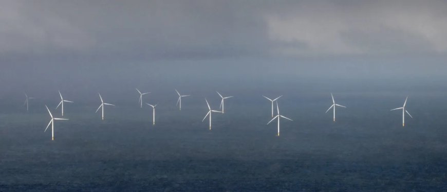 Blue State Caves On Green Energy Goal After Trump‘s Wind Crackdown