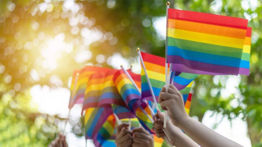 LGBTQ mental health hotline shuts down