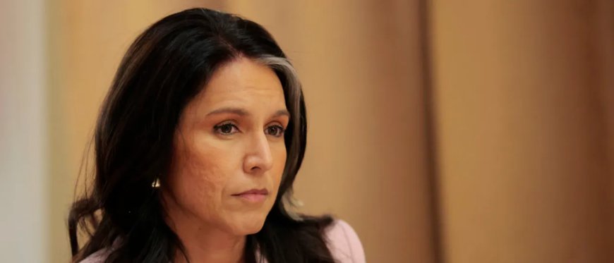 Tulsi Gabbard Releases Evidence Of ‘Years-Long Coup’ On Trump