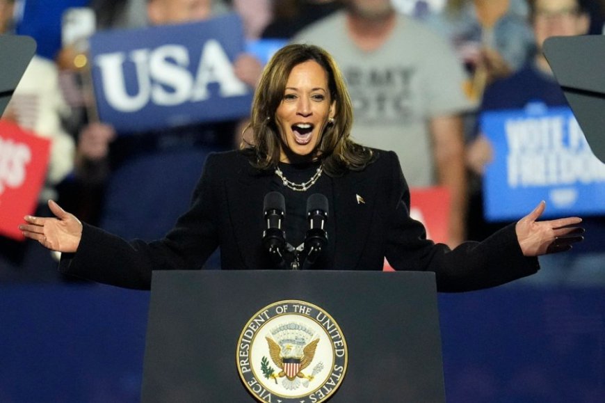 Democrats’ struggles with men: It’s the misogyny, stupid.